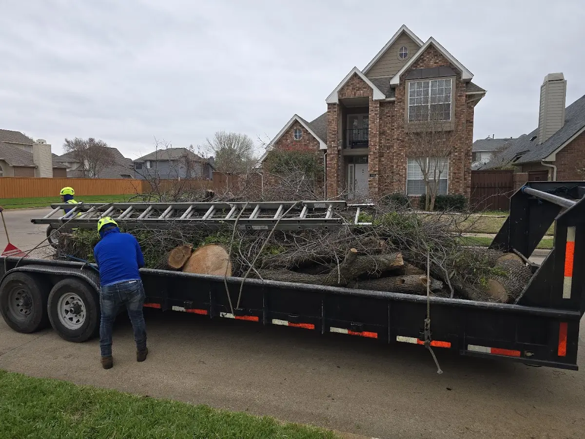 Expert Tree Fertilization with proper safety equipment in Britt